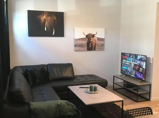 Appartamento Sentrum No 10 Notodden